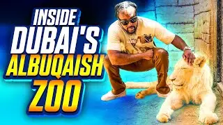 Inside Dubai's ALBUQAISH ZOO The Most Extravagant Private Zoo