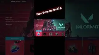 How To Get FREE 