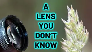 A new Tele-Macro Lens that you don't know it exists, Sandmarc 100mm Macro - VLOG 116