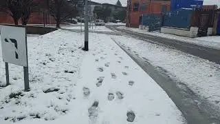 A lovely beginning of 2025with a heavy snowfall in Leeds Part 2