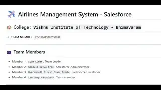 Airlines Management System  in Salesforce
