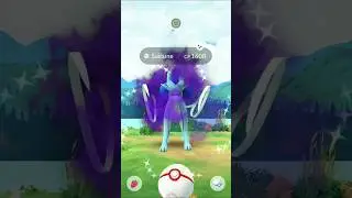 I Caught a Shiny Suicune in Pok&eacute;mon GO
