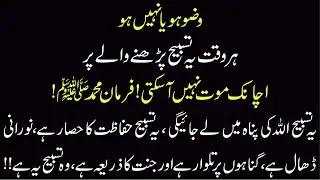 Wazu ho Ya Na Ho Ye Tasbih Prhne waly pr Koi Pareshani nhi ati | Allah ki panah mai le jaye gi Wazfa