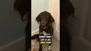 @Emma and Georgia please watch this ❤️