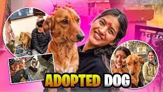 Mummy vs New Stray Dog Ghar Mein Hungama! 😳🐶