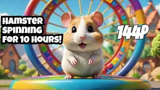 Hamster Spinning in 144p for 10 hours