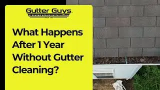 What Happens After 1 Year Without Gutter Cleaning