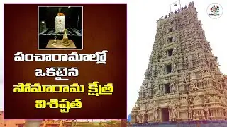 Somaramam - Someswara Swamy Temple Bhimavaram || Pancharama Kshethras || #2 || Devotional Tree