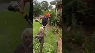 String Trimmer Lawn Edging Stihl fs130 #lawncare #shorts #entertainment #grasscutting #lawncaretips
