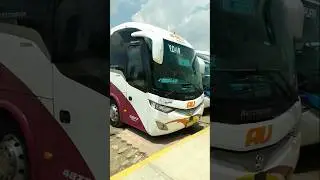 AU 4877 PUEBLA SERVICIO ORDINARIO EN TERMINAL AU CD SERDAN