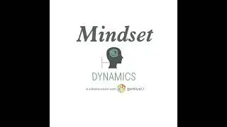 Mindset Dynamics