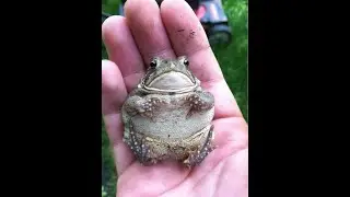 In&Ouml;sert Video &Omega;O▐3