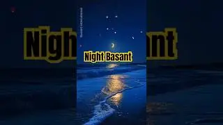 Night Basant kite flying at night #lahorebasantnight