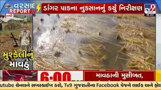 Unseasonal Rain Wreaks Havoc in Tapi District Minister Naresh Patel Visits Affected Villages | TV9