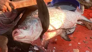 I never seen ll amazing big Katla fish cutting live skills by expert fish cutter in Fishmarket 