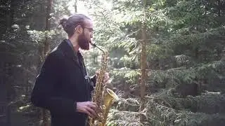 Solo i skogen - Olle Sundling