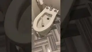 How does a bidet work?