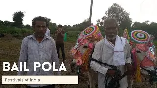 Bail Pola 2019