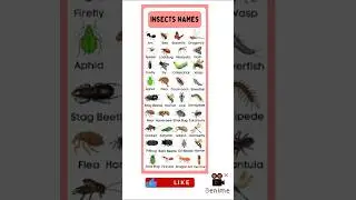 🐞 Insects Names in English 🐜 | Kids Learning Chart कीड़े मकोडो को नाम 🦋#viral#shorts#educational