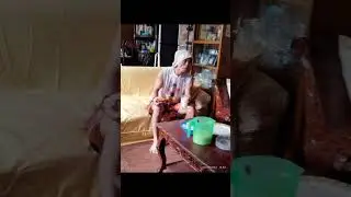 Masisipag na mga Karpintero