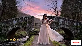 Timeless classical soundtrack surrounded by orchestral strings: for dreamy nights