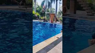 Swimming canal boll  jump