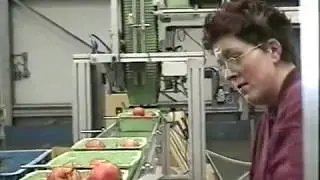 De eerste Pulptraysealer in Europa (2004)