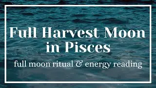 Full Moon in Pisces | Live Full Moon Ritual & Witchy Yoga 🔮 🌙