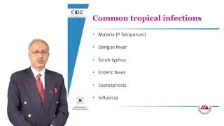 Tropical Infections in the ICU - Dr Dhruv Chaudhary - Critical Care Infectious Disease Course