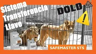 🟢 Sistema de transferencia de Llave de Dold 🔑 para [NUNCA] quedarse atrapado en m&aacute;quinas  ⚠️