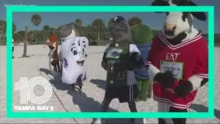 Mascots race on Siesta Key ahead of MOTE's Run for the Turtles