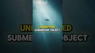 Let&rsquo;s Talk Underwater Mysteries 👀