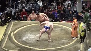 安青錦 vs 大栄翔【大相撲令和8年1月場所】5日目 初場所 AONISHIKI vs DAIEISHO [JAN2026DAY5] 2026/1/15
