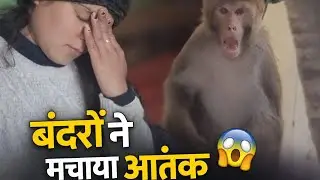 Bandr Ne machaya aatank🥲