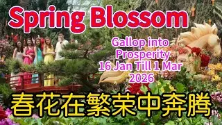 Spring Blossom -Gallop  into prosperity From 16 Jan till 1 Mar 2026 1月17日