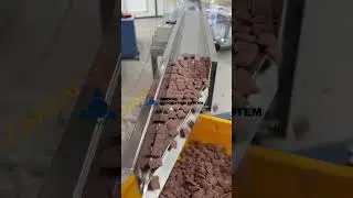 [SW FEEDER 삼우자동화] 시리얼 리니어피더 / Serial Linear Feeder