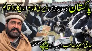 How to Start Dairy Farm Business in Pakistan  | Pakistan Main Dairy Farming Krne Ka Tariqa 