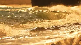 Golden sunset on the beach.