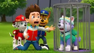 Oh No&hellip; Ryder Was Wronged! Please Release EVEREST? | PAW Patrol Sad Animation | Rainbow 3