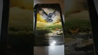 Today's Intuitive Charm Message New beginnings #important #messages #intuitiveenvisions1111