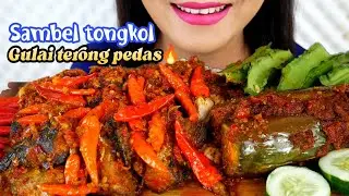 ASMR SAMBEL TONGKOL, GULAI TERONG PEDAS | ASMR MUKBANG INDONESIA