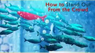 Action 11. Module 5. How to Stand Out From the Crowd