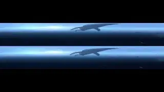 Great White Sharks 360 3D Video  Close encounter on Amazing Virtual Dive