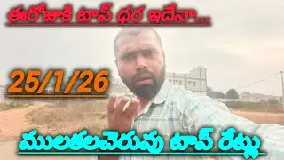 25/1/26 Mulakalacheruvu tomato market price today 🍅 #todaytomatorate #crkvideos16 