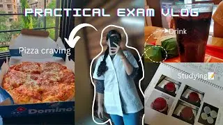 𝙋𝙧𝙖𝙘𝙩𝙞𝙘𝙖𝙡 𝙚𝙭𝙖𝙢 𝙫𝙡𝙤𝙜, 🧫🌡𝙗𝙞𝙤𝙩𝙚𝙘𝙝 𝙨𝙩𝙪𝙙𝙚𝙣𝙩 👩&zwj;🔬 ||  𝙎𝙩𝙪𝙙𝙮𝙞𝙣𝙜📚 || 𝙍𝙚𝙡𝙖𝙭𝙞𝙣𝙜 🌸☁ || 𝙬𝙝𝙖𝙩 𝙄 𝙚𝙖𝙩🍕🍔