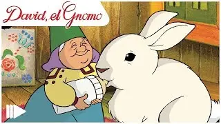 David, el Gnomo (Latino) - 05 - Construyendo el hogar | Episodio Completo |