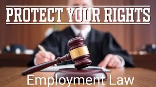 Mastering UK Employment Law: Your Essential Guide