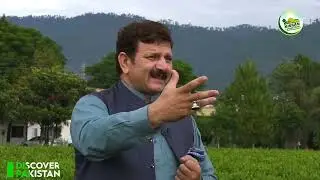 Tea Garden Tourism, must visit the NTRI Shinkiari