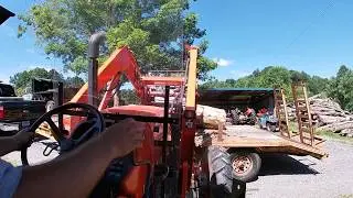 Cutting a big poplar and loading logs!