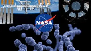 🚨 Shocking Discovery: Dangerous Unknown Bacteria Found on ISS&mdash;Is Crashing it Into the Ocean a Risk?